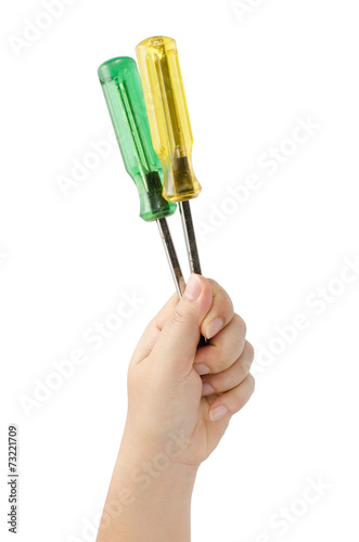 Hand hold screw driver