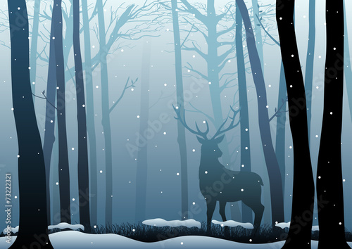 Silhouette of a deer in dark woods