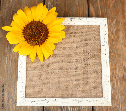 Fototapeta Naklejka Na Ścianę i Meble -  Beautiful sunflower on frame on wooden background