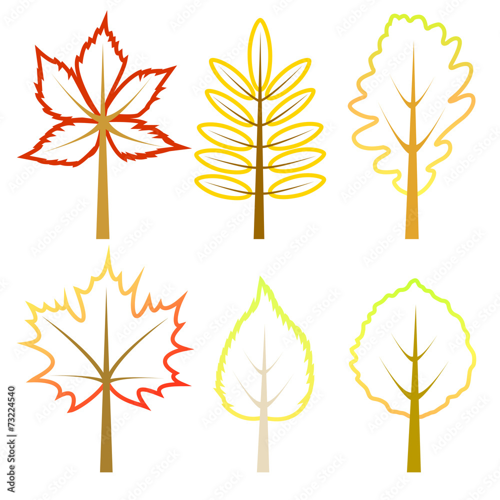 Fototapeta premium Set of autumn leaves.