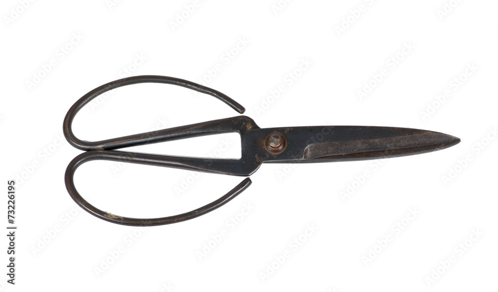 old tailor scissors isolated on white background old tailor scissors isolated on white background