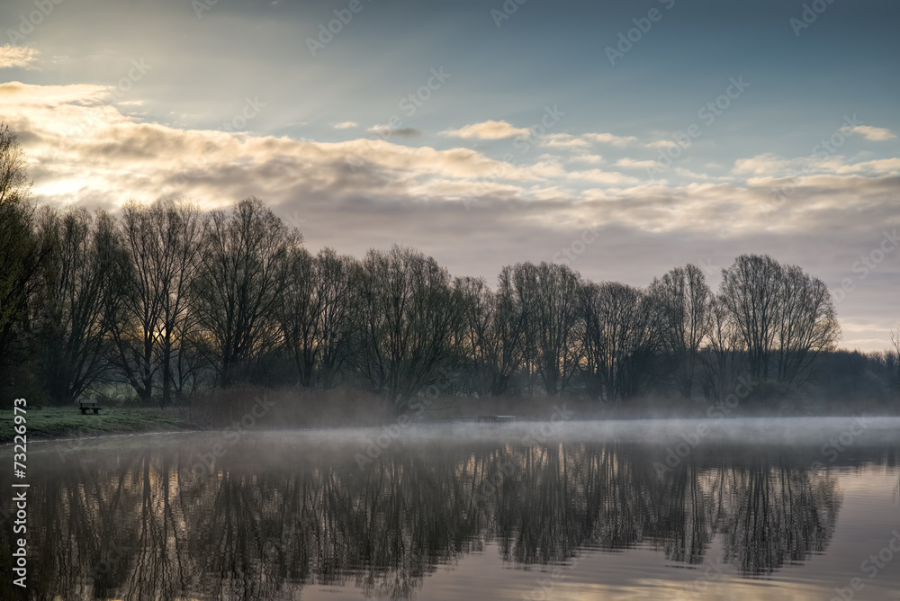 Fototapeta premium Empty bench and trees by a lake in the morning.