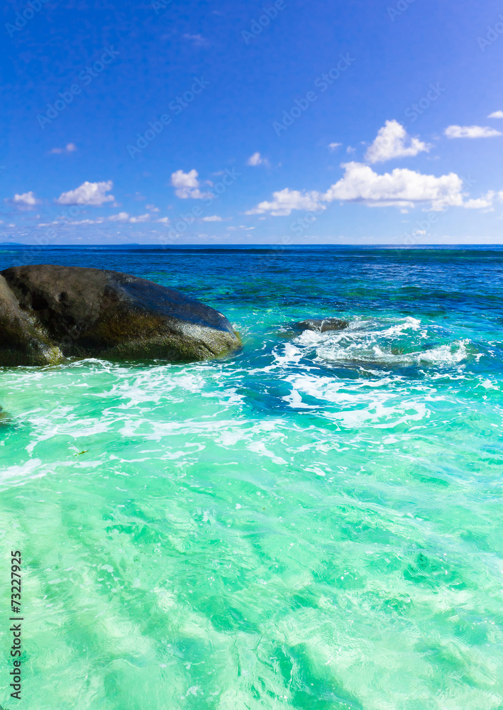 Fototapeta premium Corals Summer Seascape