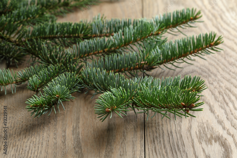 fir branch on oak table fir branch on oak table