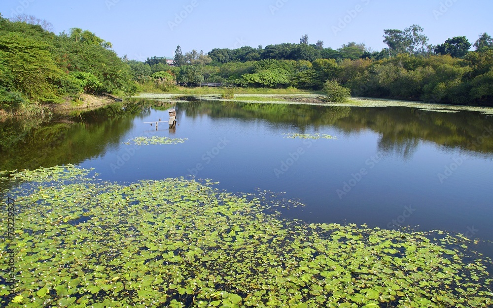 The wetland swamp near city in southern Taiwan