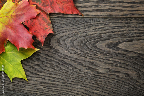 autumn maple leaves on old oak table