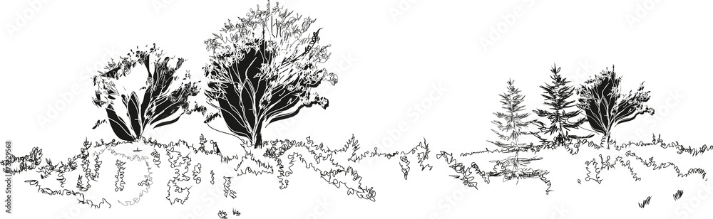 Fototapeta premium Sketch of landscape