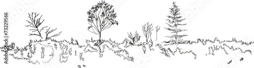 Sketch of landscape
