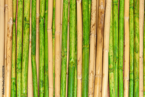 Bambusrohr Hintergrund