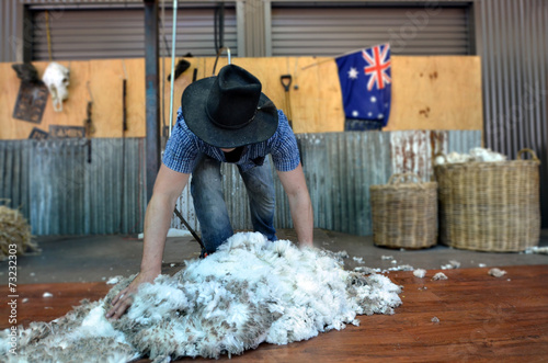 Australian Sheep shearer photo