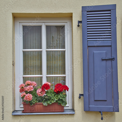 picuresque window and flowers, Altenburg, Germany