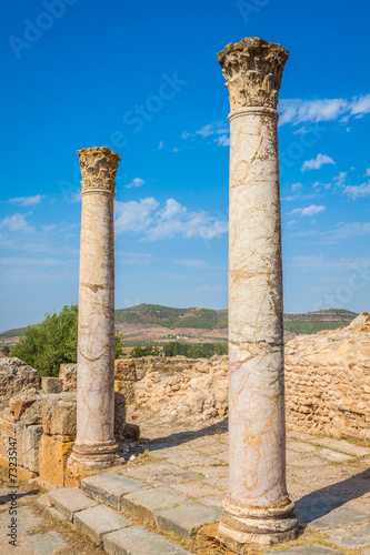 Roman ruins Sanctuaire Esculape Thuburbo Majus Tunisia