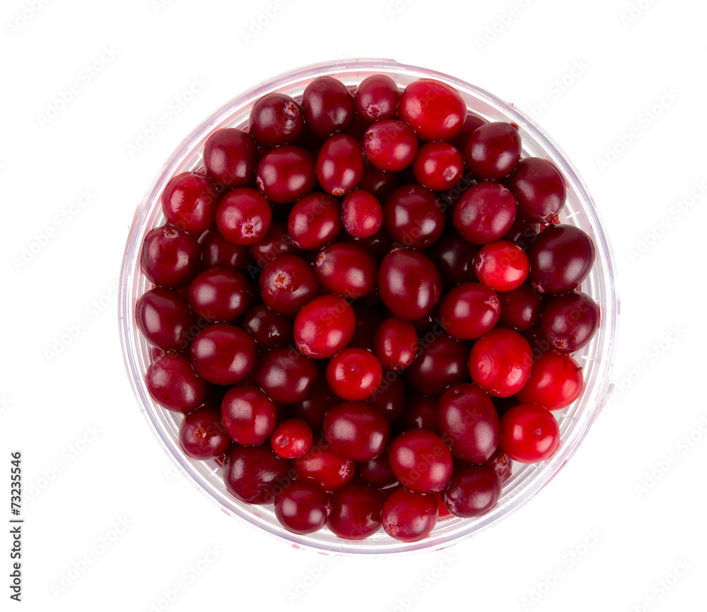 Cranberry isolated Cranberry isolated