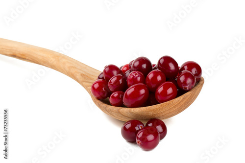 Cranberry isolated