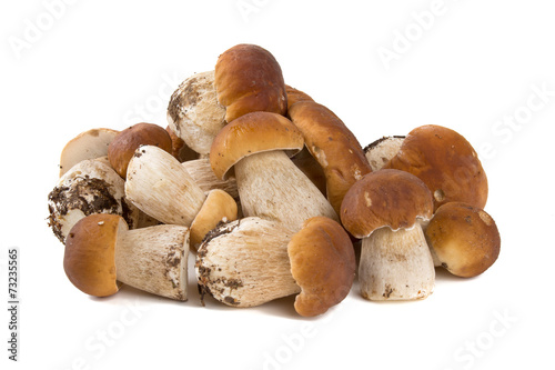 boletus mushrooms over white