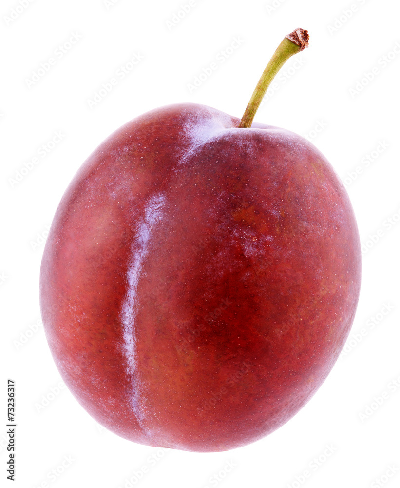 Obraz premium Red plum isolated on white