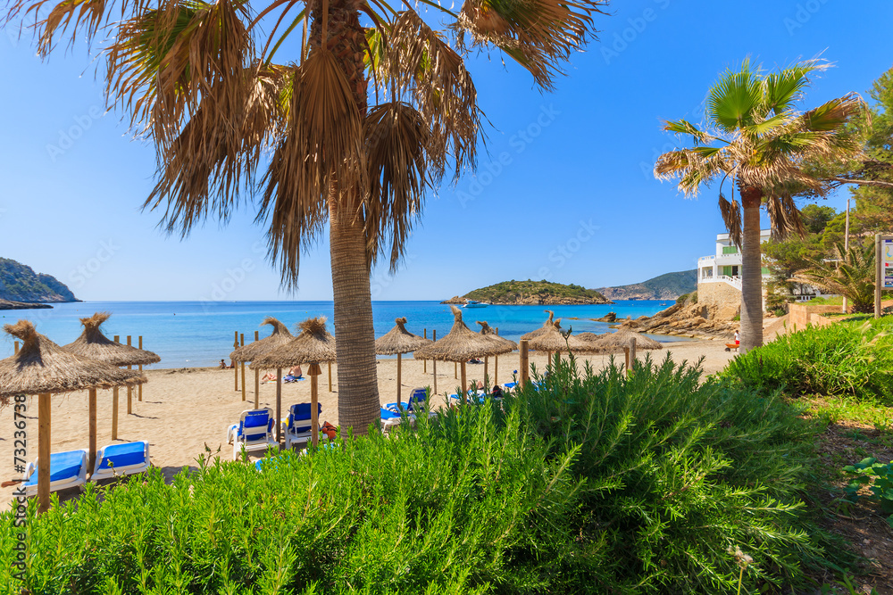 Fototapeta premium Palm trees and beach view in Sant Elm village, Majorca island