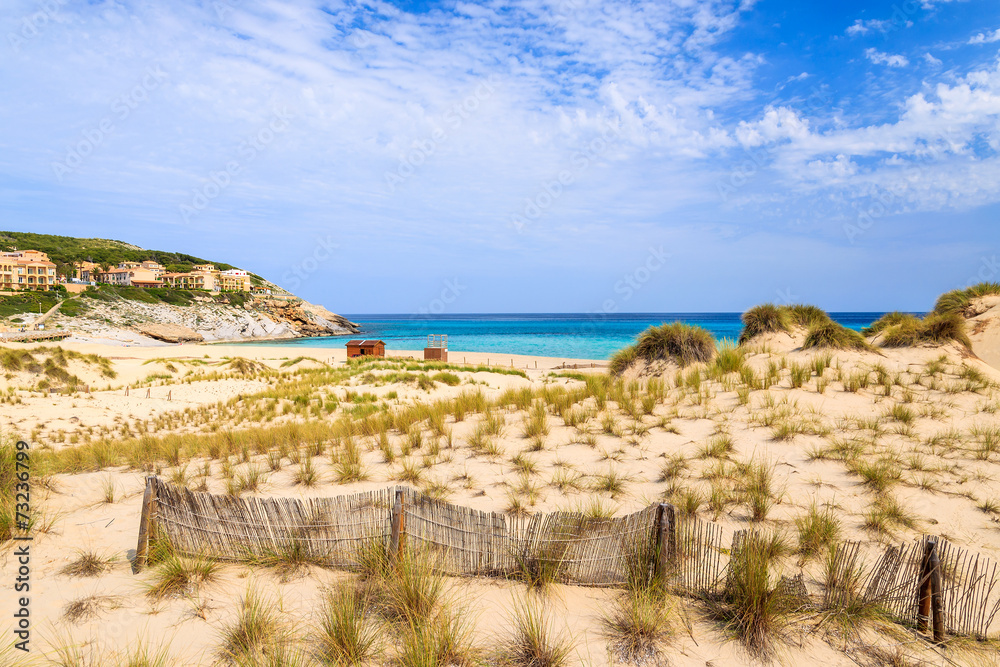 Obraz premium Grass on sand dunes, Cala Mesquida beach, Majorca island