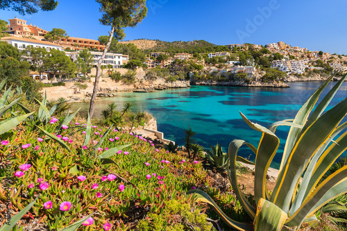 Beautiful bay and beach with flowers in Cala Fornells, Majorca