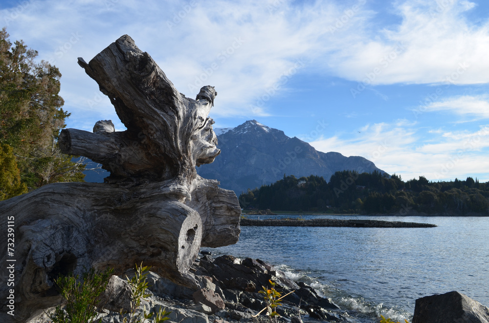 Driftwood at Lake Nahuel Huapi, Patagonian Andes, Bariloche