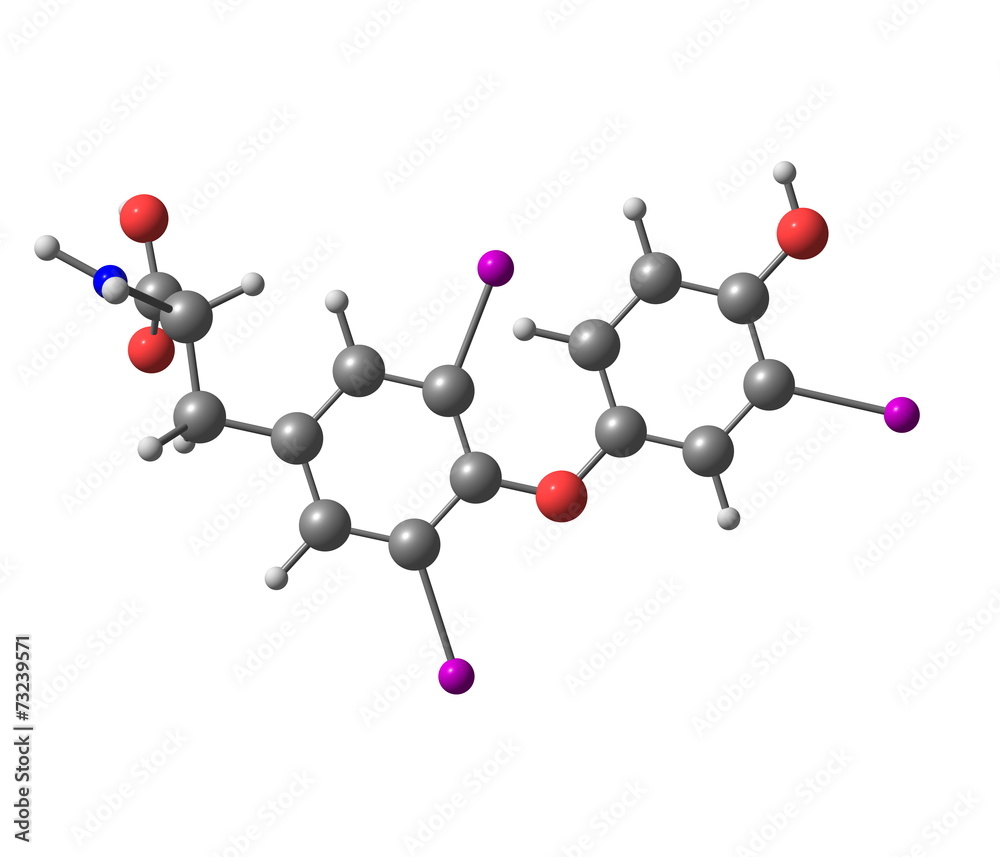 Triiodothyronine molecule isolated on white Triiodothyronine molecule isolated on white