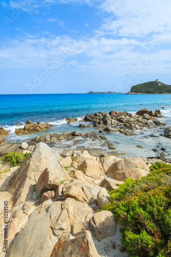 Green plants on Porto Giunco beach, Sardinia island, Italy