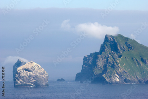 Northern gannets seen on the steep cliffs of St Kilda, UK