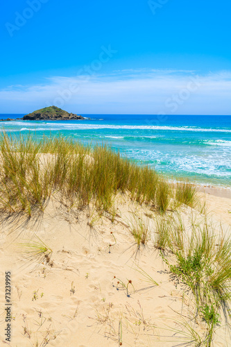 Grass on sand dune at Chia beach  Sardinia island  Italy