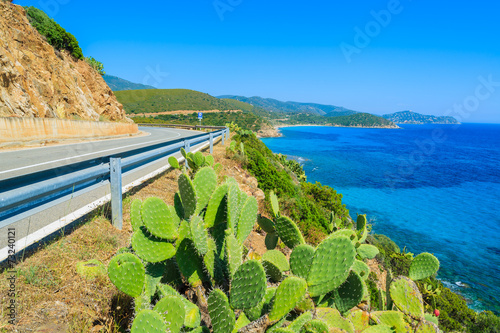 Scenic coastal road on Sardinia island, Italy photo