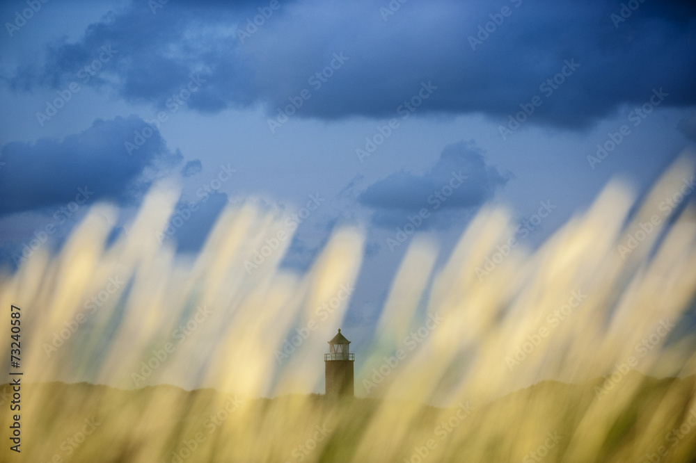 Obraz premium Leuchtturm von Kampen durch Schilf fotografiert
