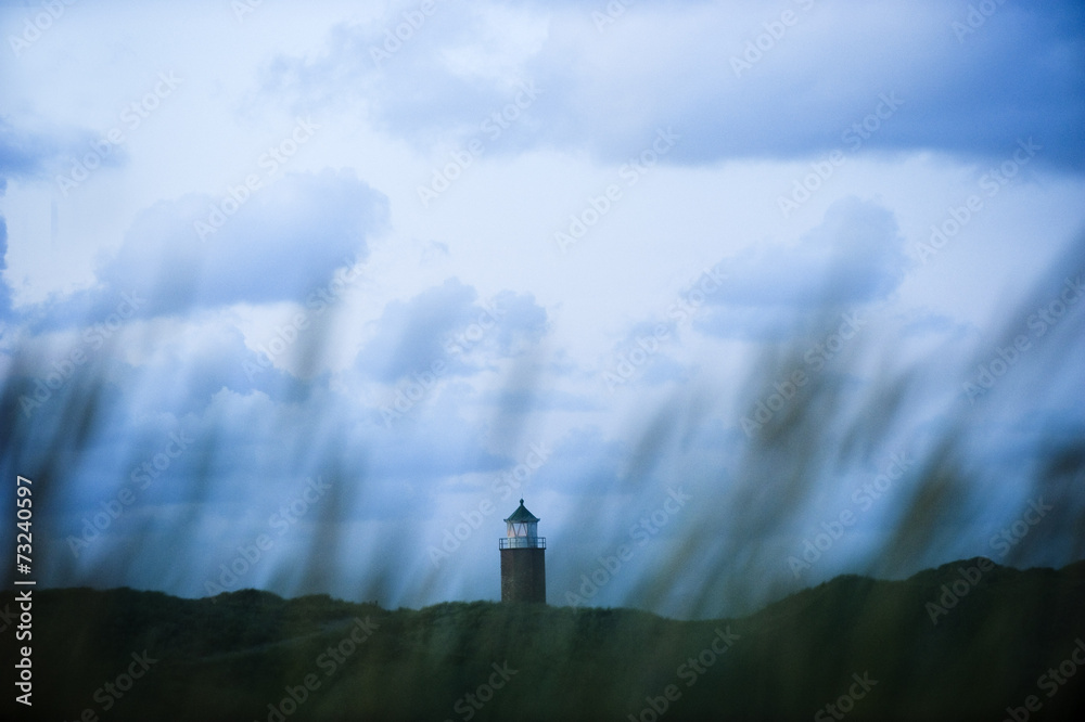 Leuchtturm von Kampen durch Schilf fotografiert Leuchtturm von Kampen durch Schilf fotografiert