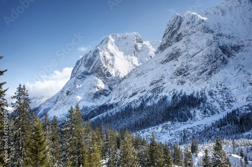 Alpine winter scene - sunny winter day in the mountains