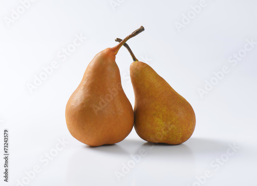 Two ripe Bosc pears photo