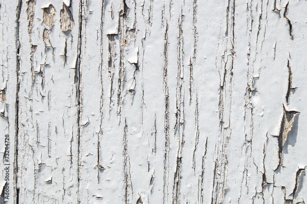 Obraz premium cracked wood texture