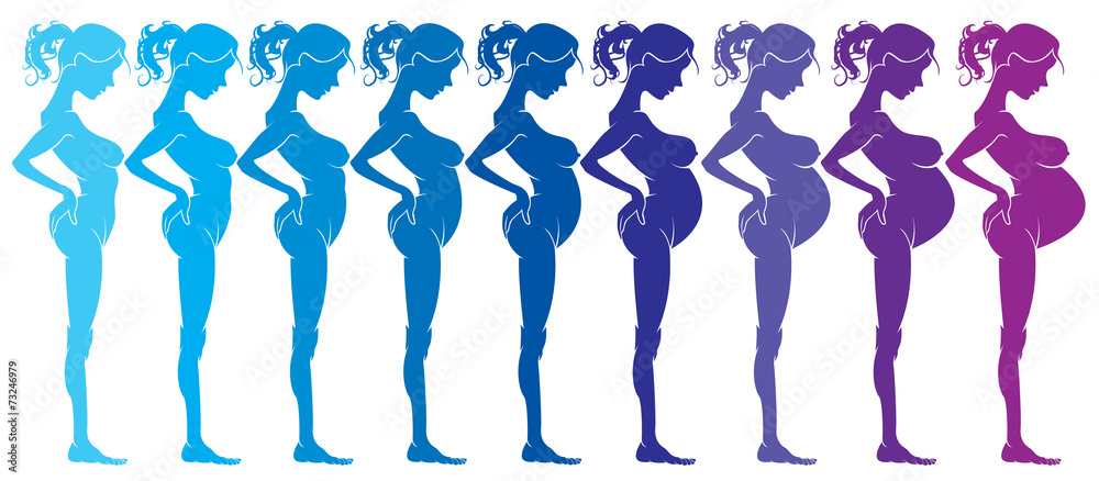 Pregnancy woman by month