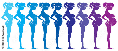 Pregnancy woman by month