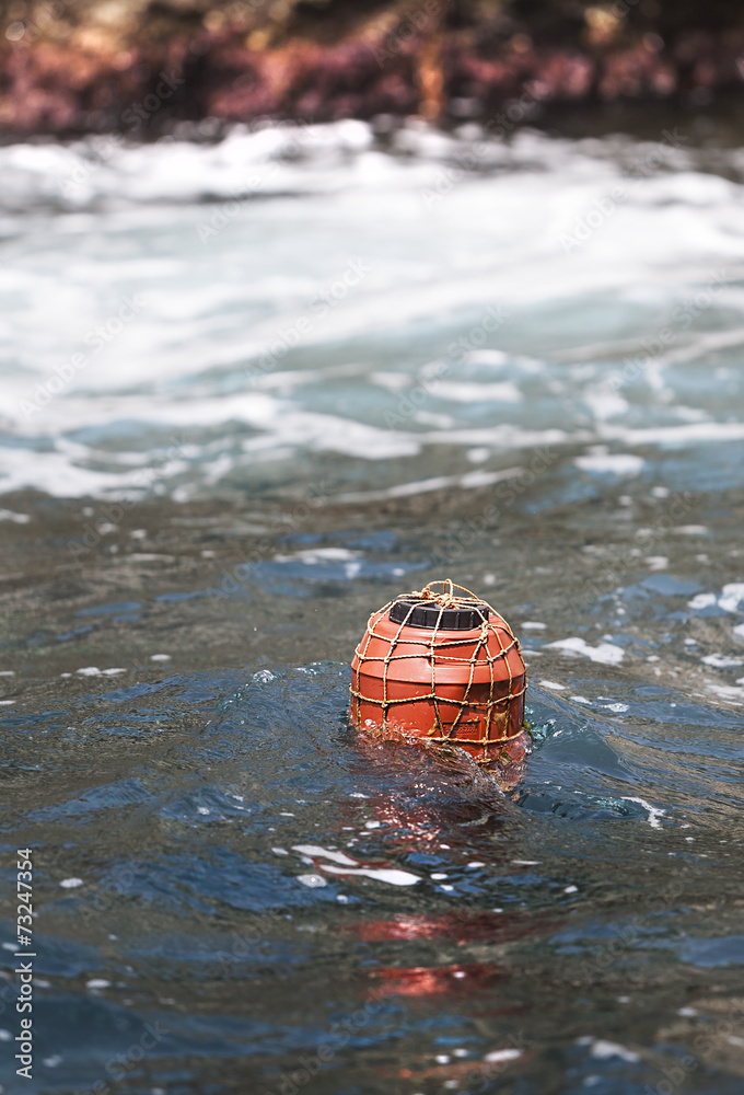 Naklejka premium Buoy