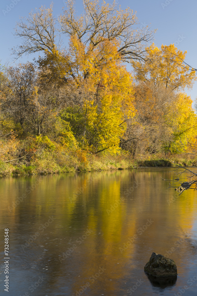 Fototapeta premium Root River In Autumn