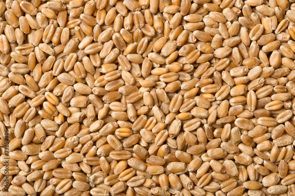 Weizen, Wheat