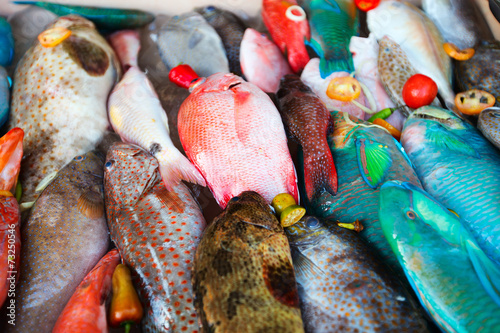 Принти на полотні Fish on dislay at fishmarket