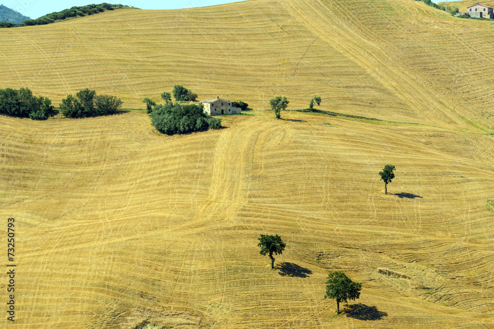 Obraz premium Summer landscape in Marches (Italy)
