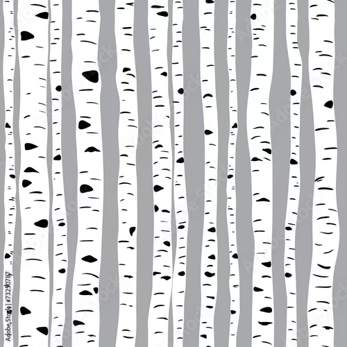 Fototapeta samoprzylepna Brzozy w wektorze