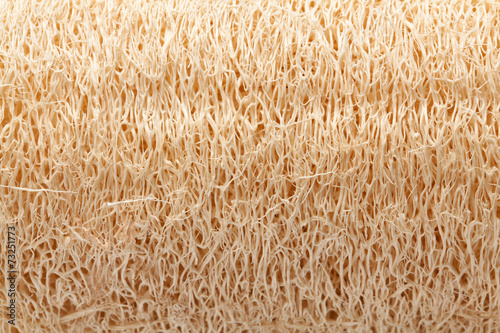 loofah