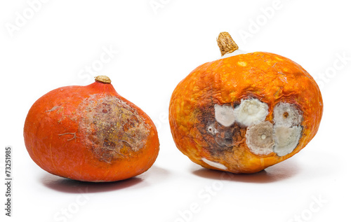 Rotten pumpkins isolated on white background