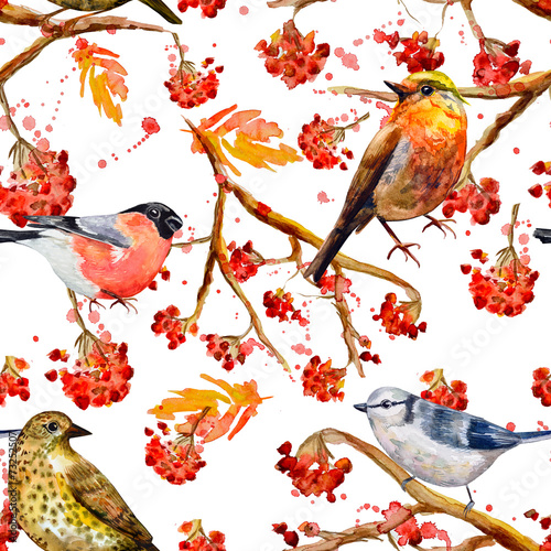 seamless texture with cute birds watercolor