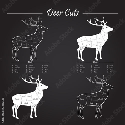 Deer meat cut scheme - elements on blackboard