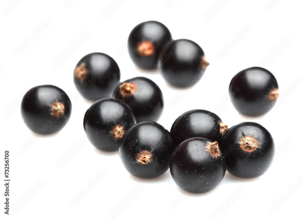 Currant in closeup Currant in closeup
