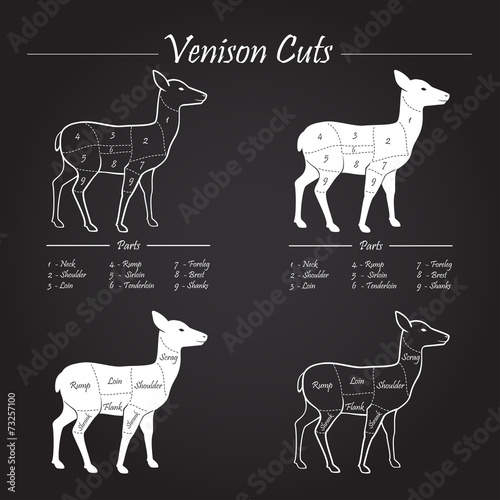 Venison meat cut diagram scheme - blackboard