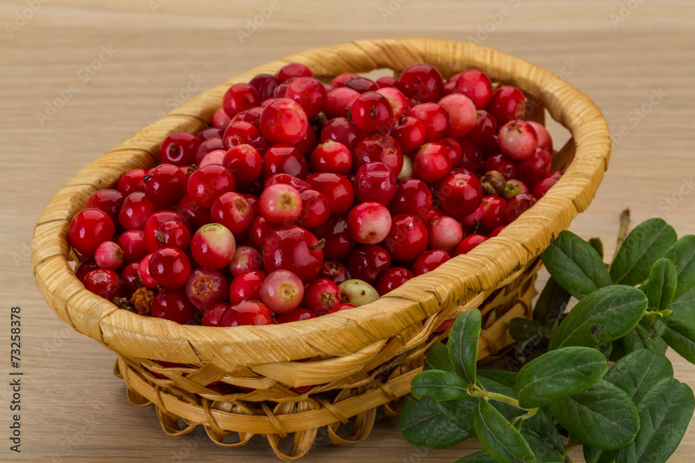 Cowberry Cowberry