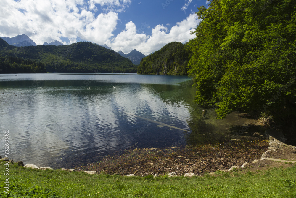 Lake Alpsee, with swans, Bavarian Alps, Germany.
